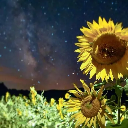 Disfruta Apartment Teruel