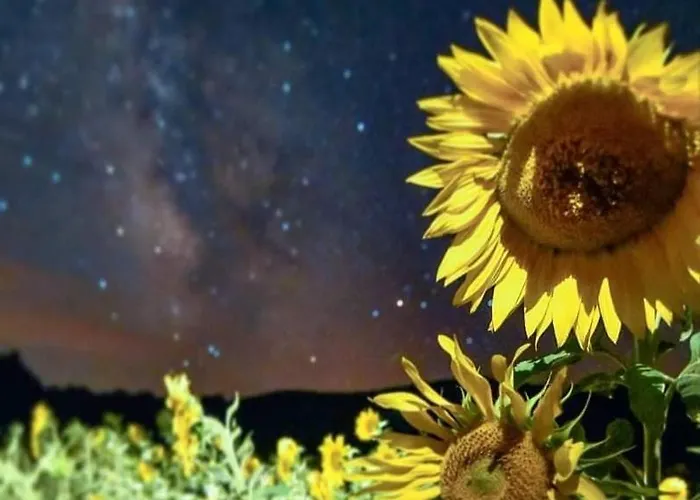 Disfruta Lägenhet Teruel